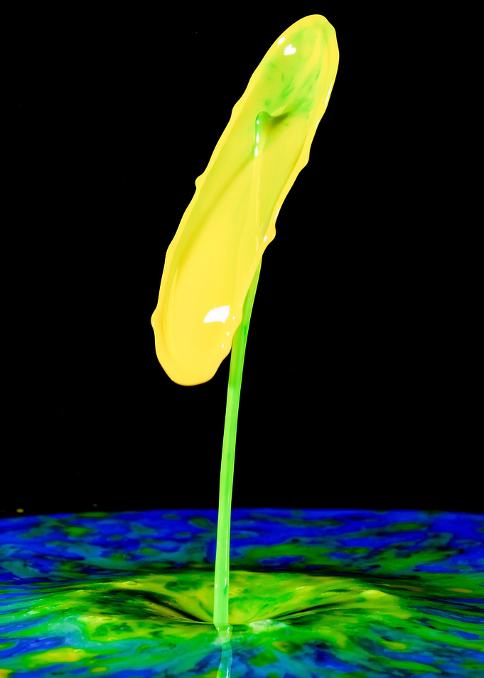 Abstract Flower 1