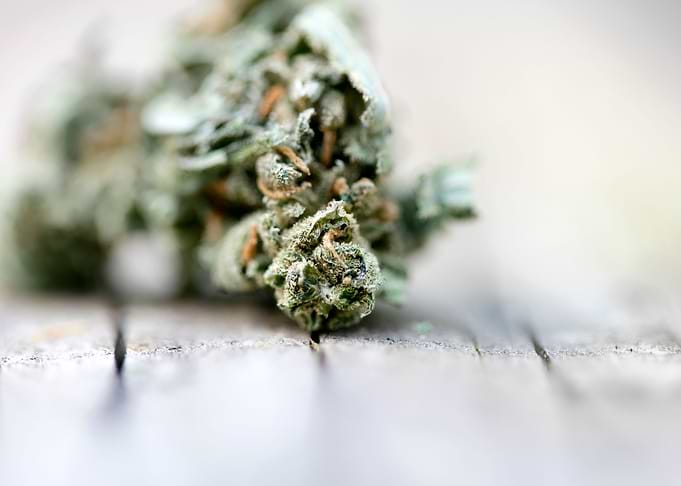 Ganja super lemon haze