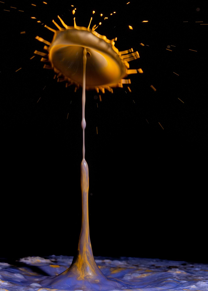 Abstract Flower 9