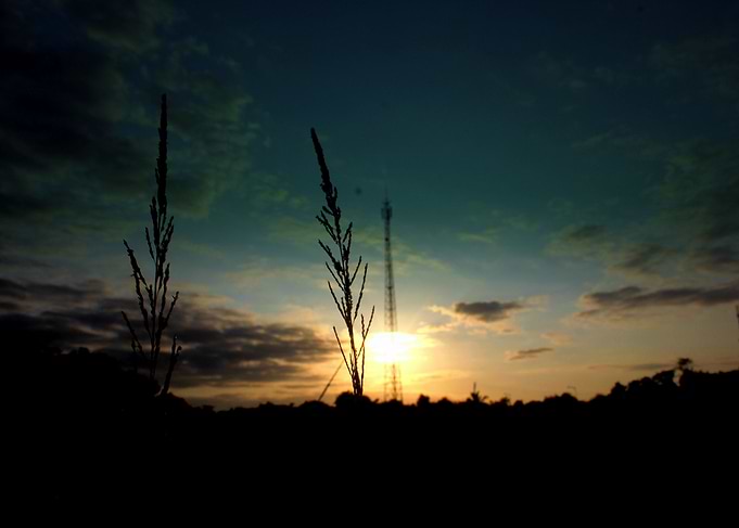 sunset in nature