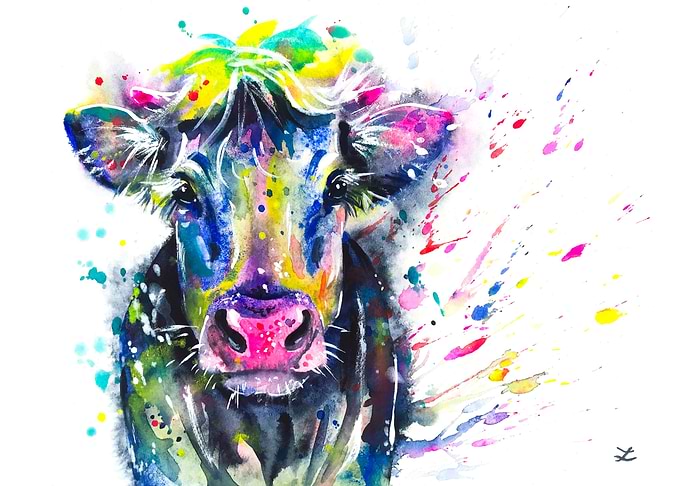 Fancy Cow