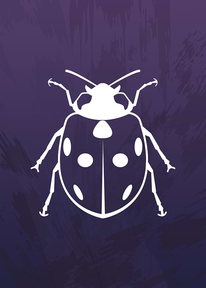 Ladybird