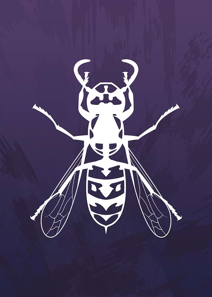 Wasp