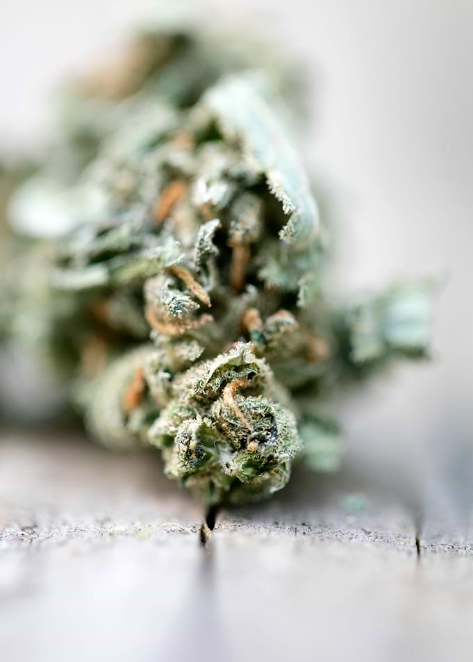 Ganja super lemon haze