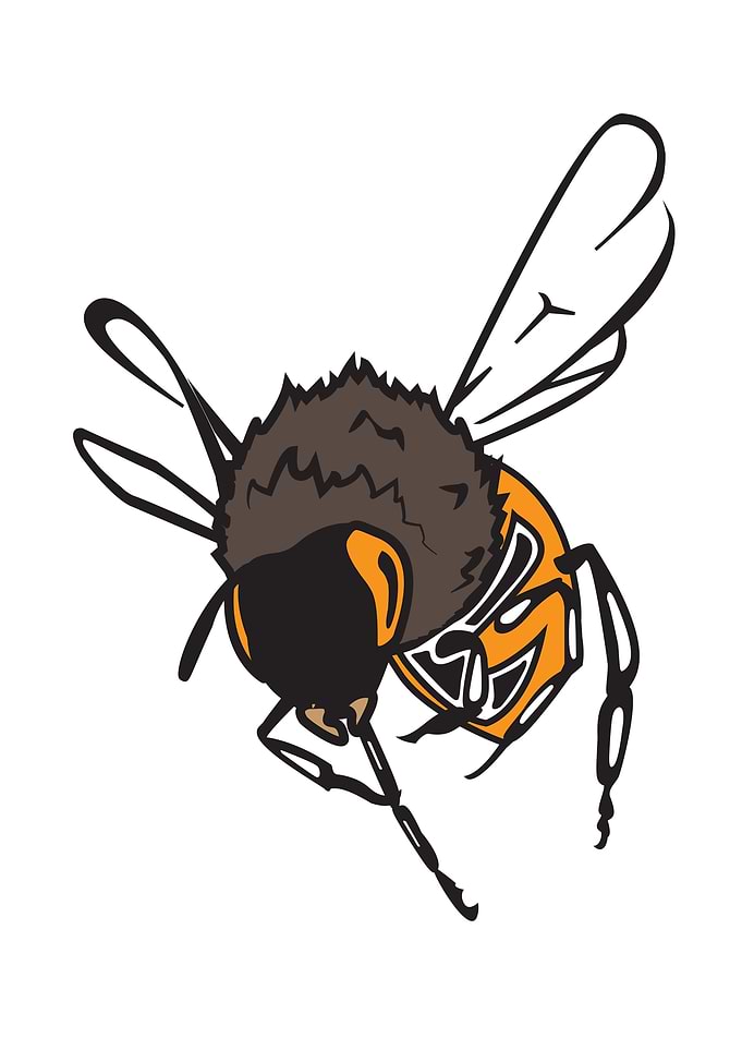 Killer Bee