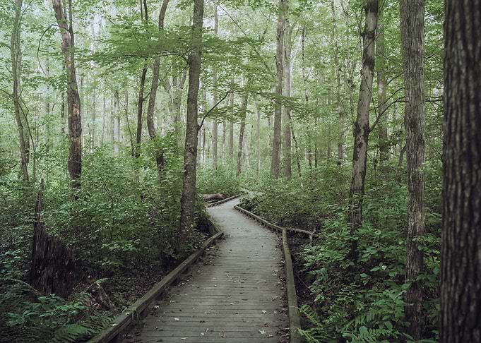 Path to Nowhere