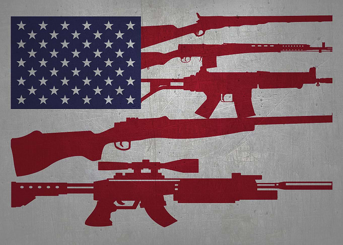 US Flag American Guns