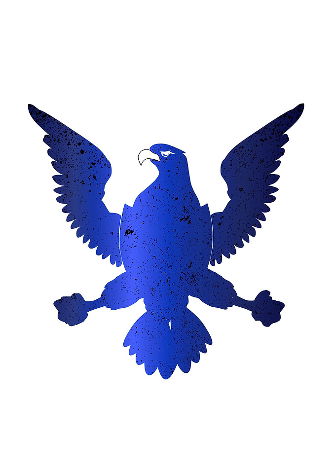 American Eagle In Silhouet