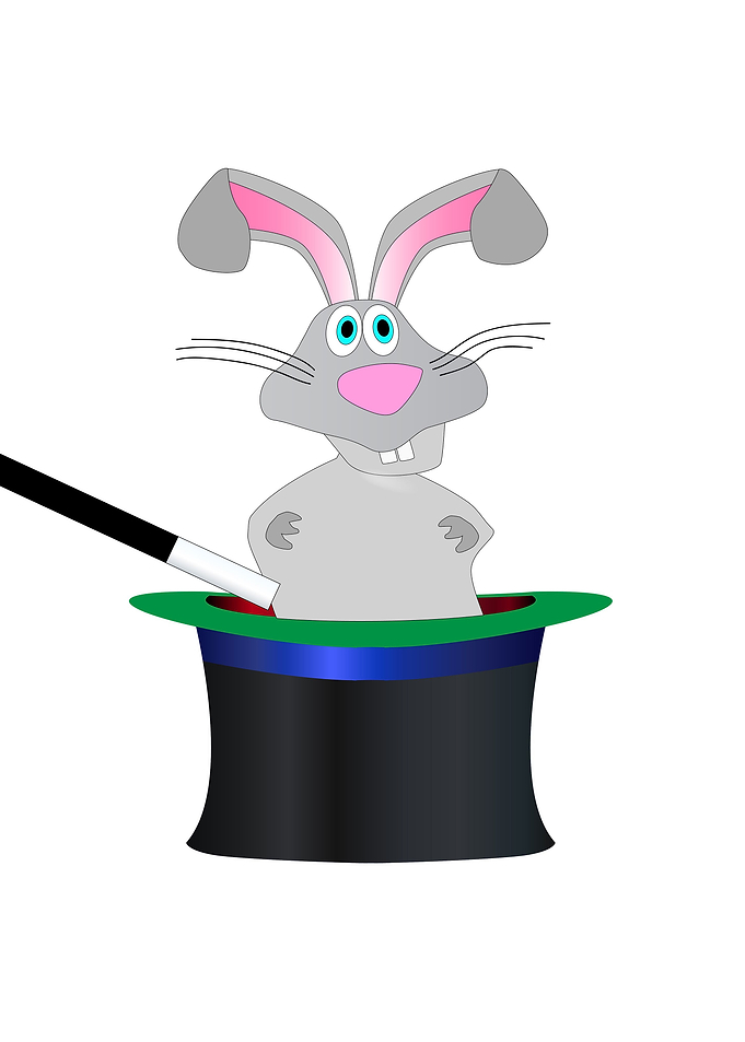 Magic Rabbit Hat