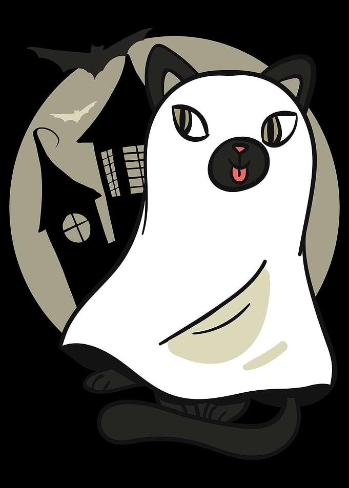 Ghost Cat