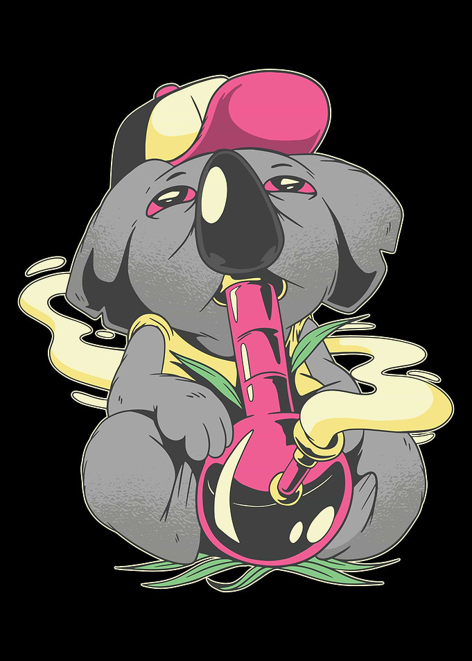 High Koala