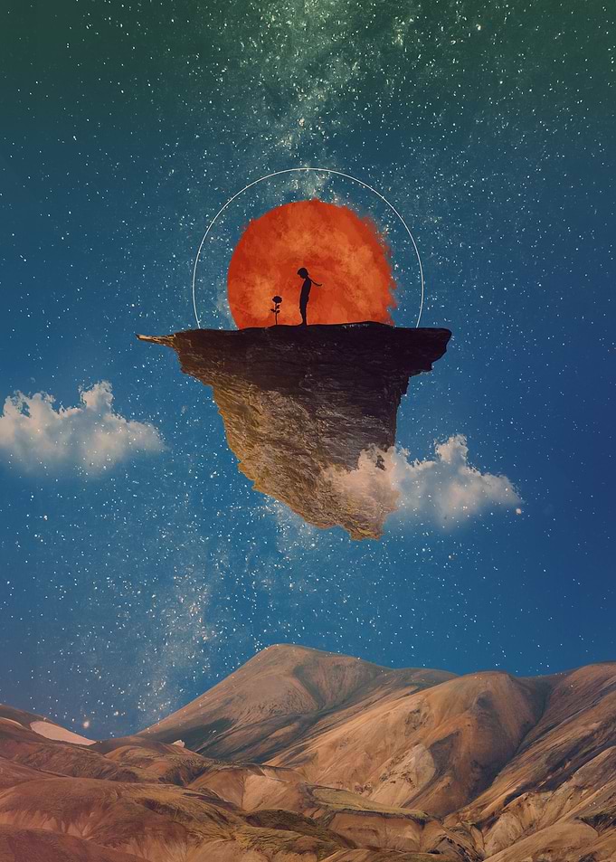 Little Prince Book
