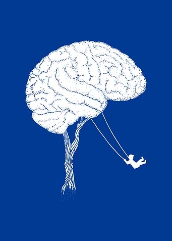 Intelligence Having Fun
