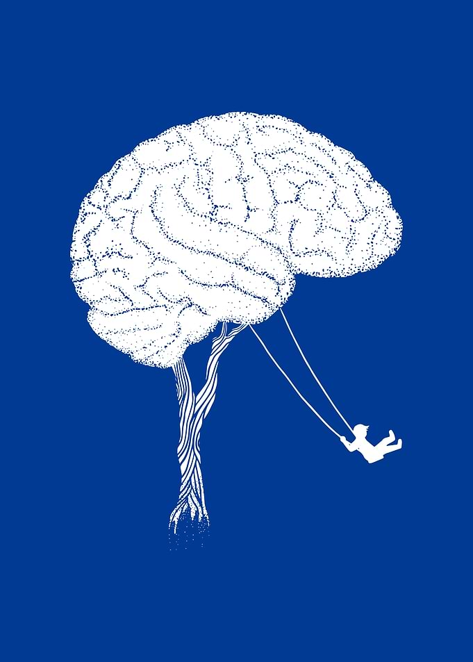 Intelligence Having Fun