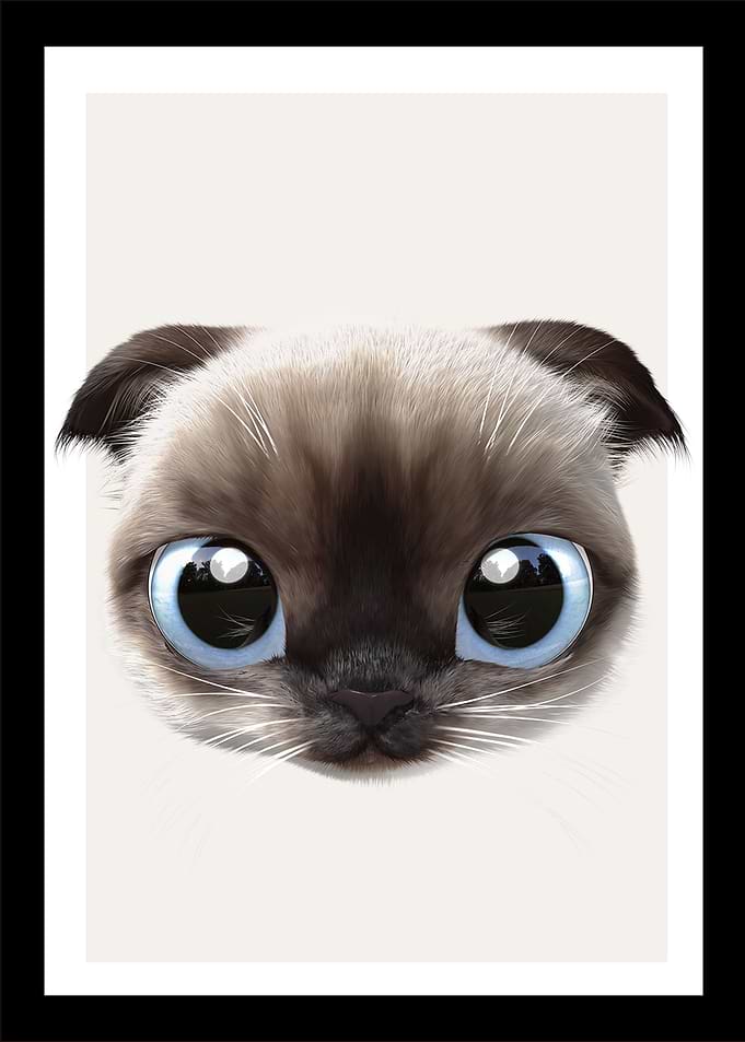 8 baby cat