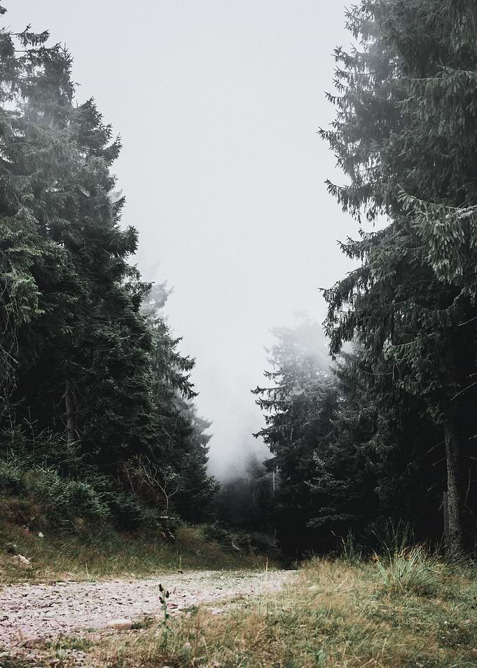 Trail 1