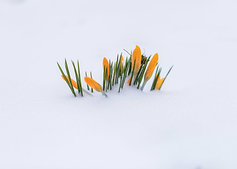 End of Winter