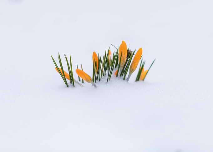 End of Winter