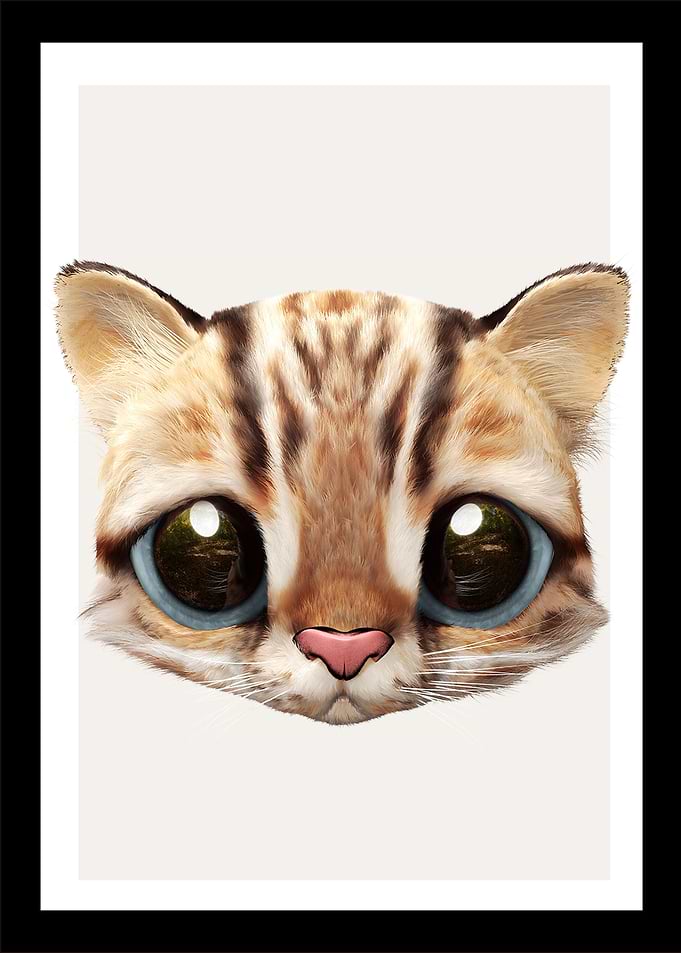 13 baby cat