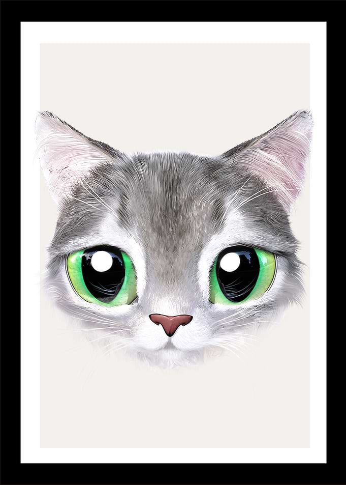 6 baby cat