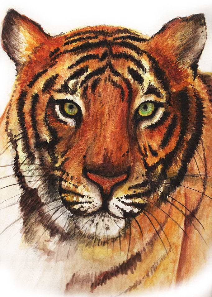 1997 Tiger Inspired
