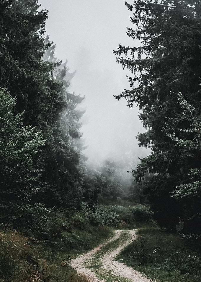Trail 2