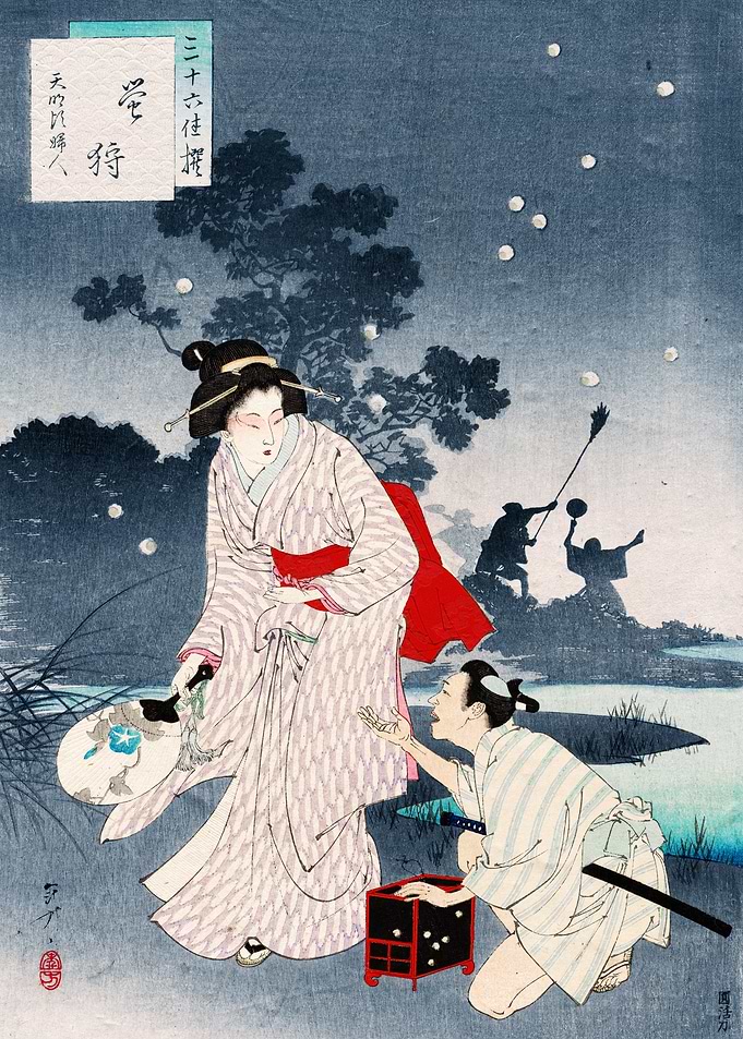 Chasing Fireflies