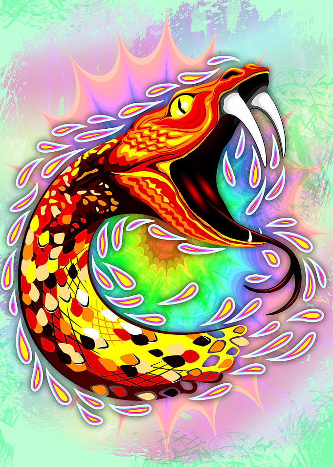 Snake Attack Psychedelic