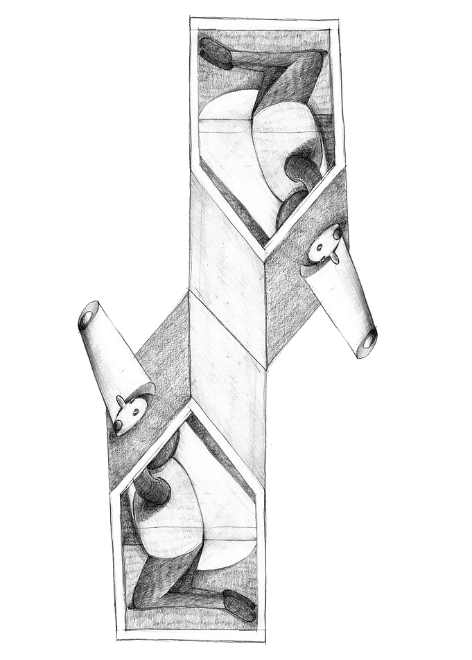 Human cage