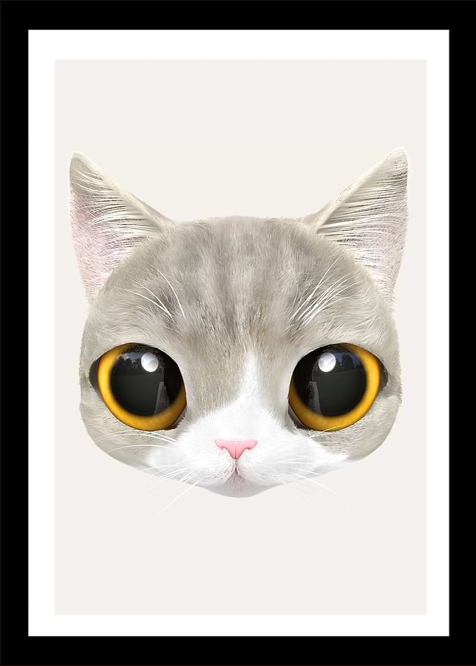 4 baby cat