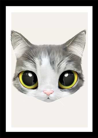 3 baby cat