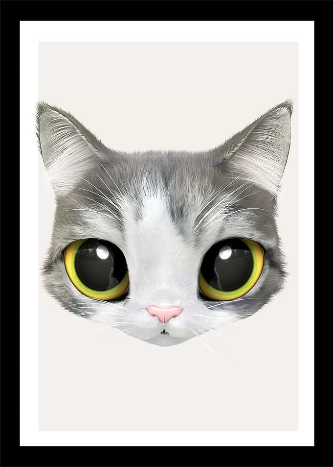 3 baby cat