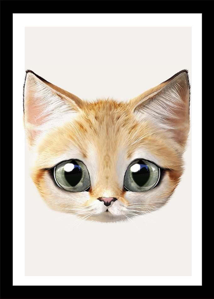 11 baby cat