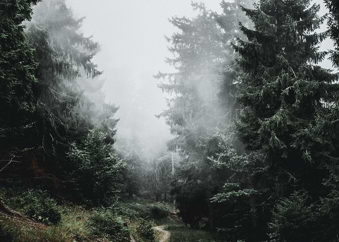 Trail 3