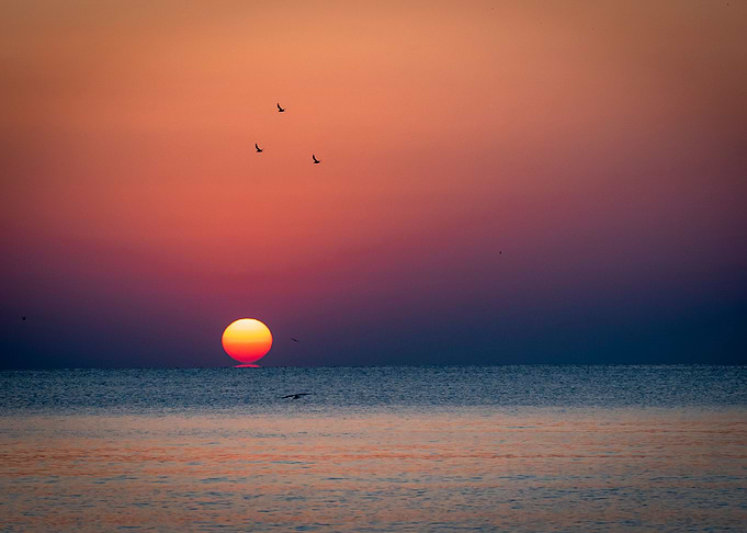 The rising red sun