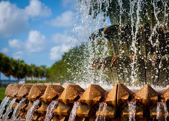 Pineapple Fountain Splash