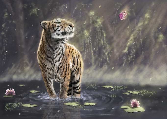 Peaceful encounter