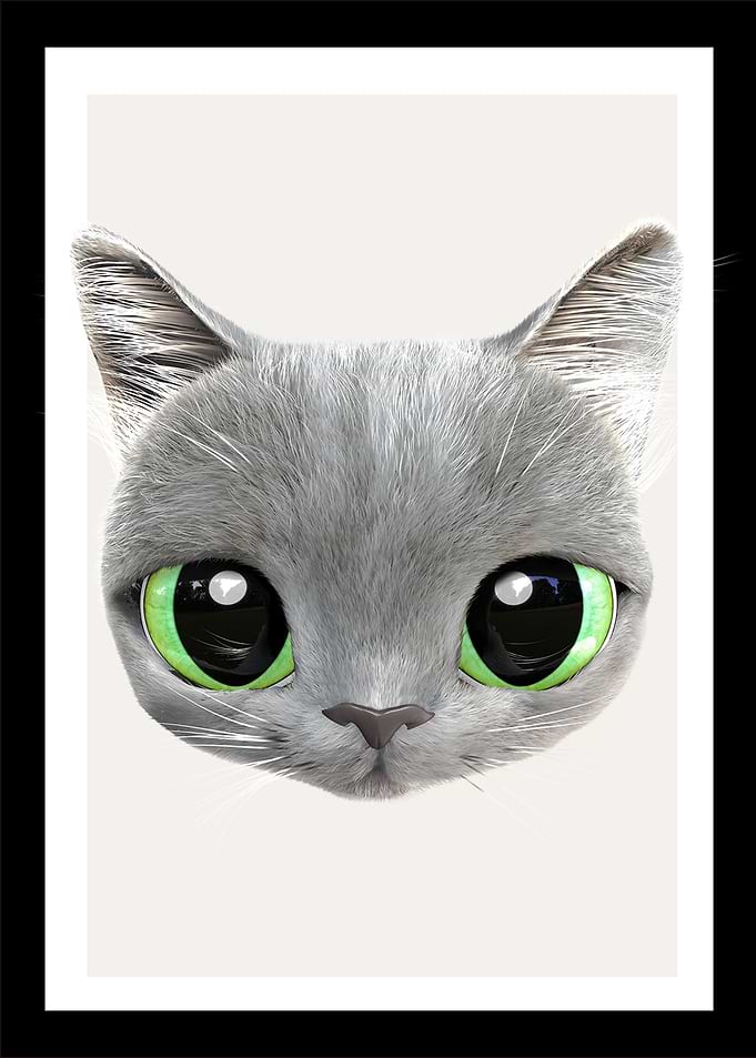 10 baby cat