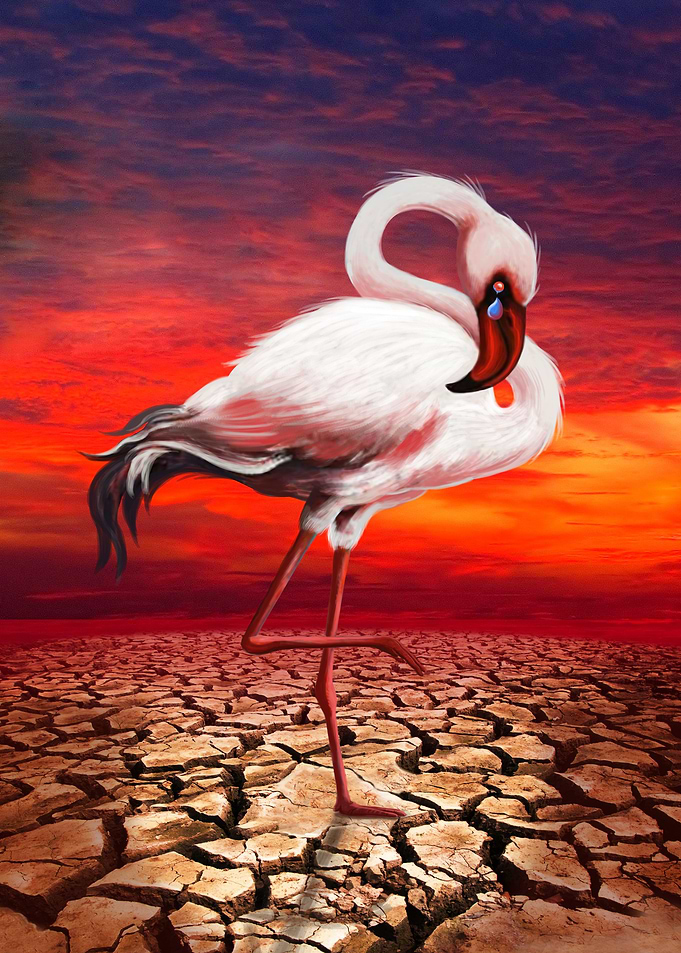 The extinction