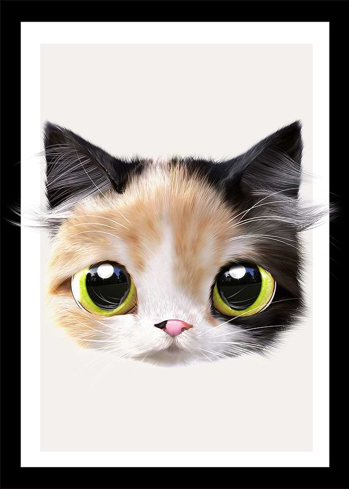 14 baby cat