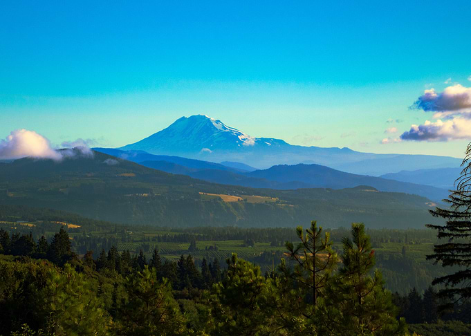 Mt Adams