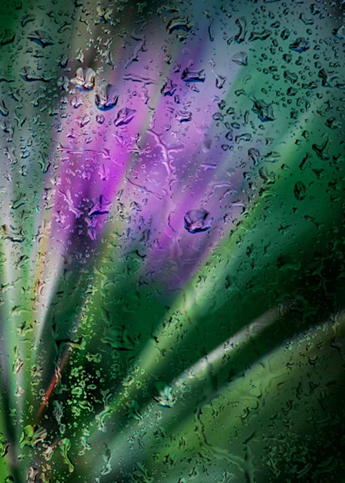 Purple silence