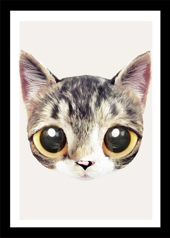 12 baby cat