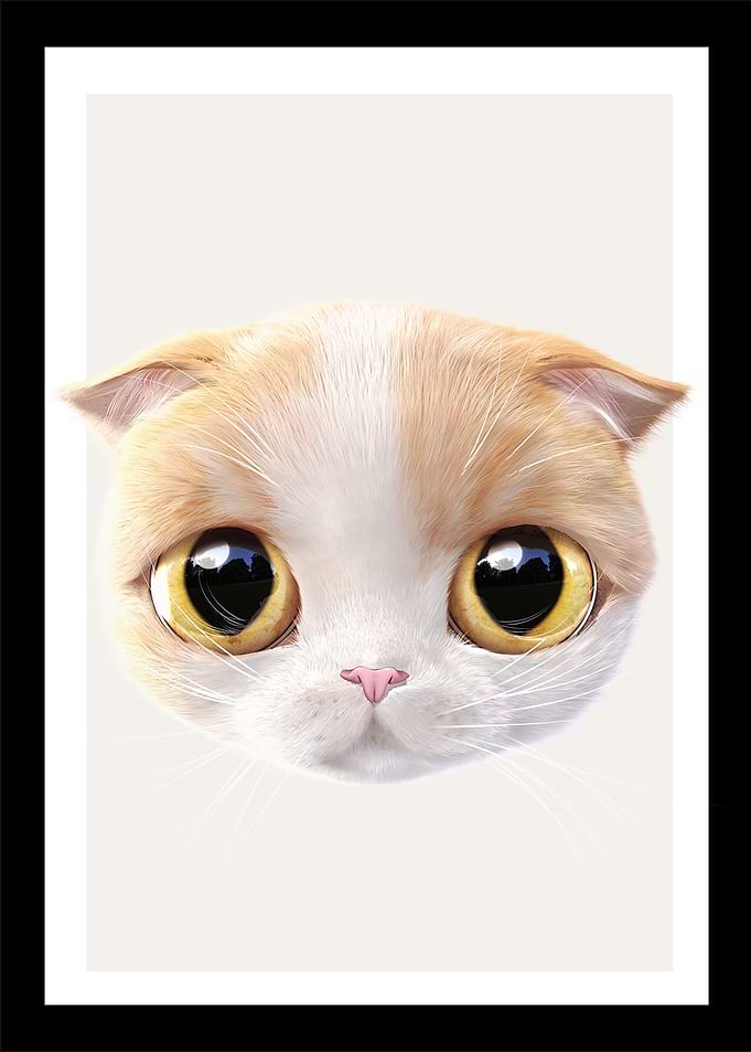 5 baby cat