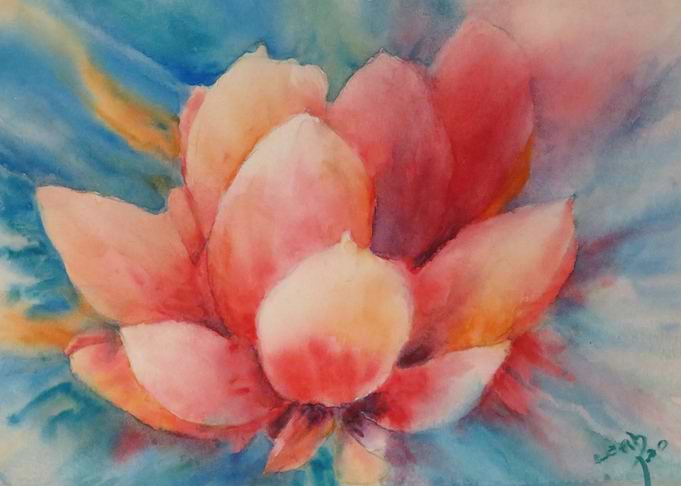 Lily Pond