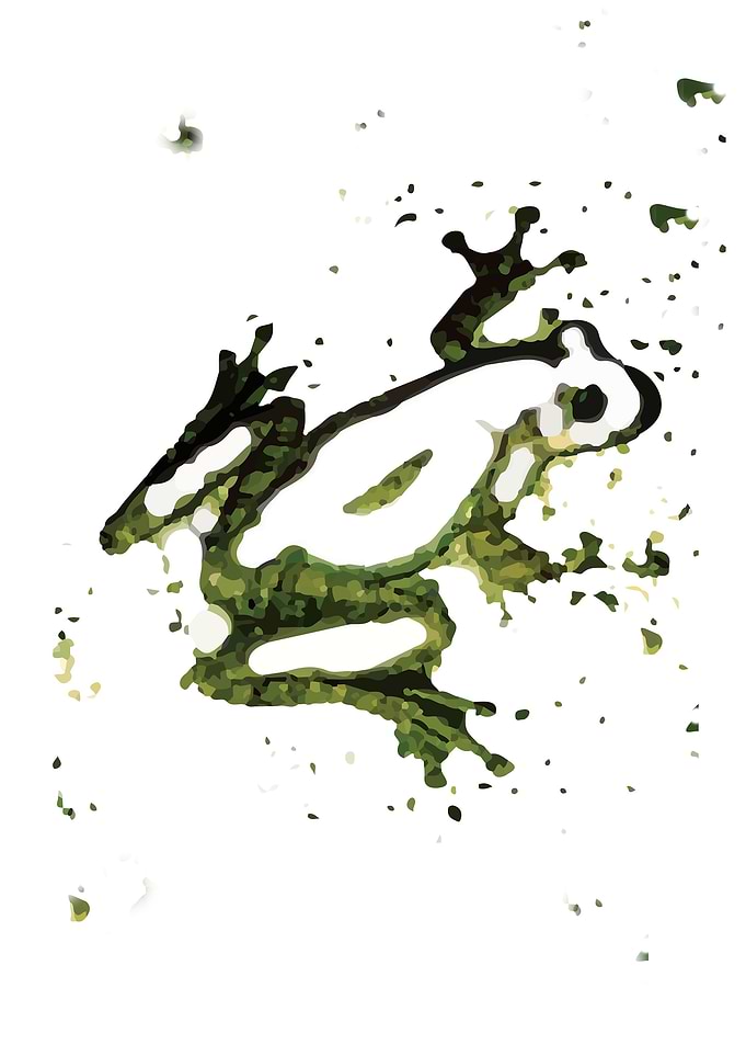 Frog art