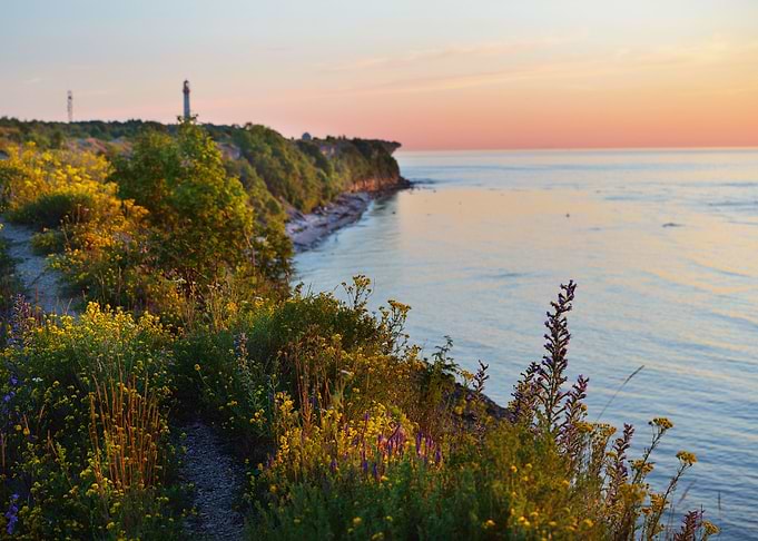 Cliffs At The Coast In Pal