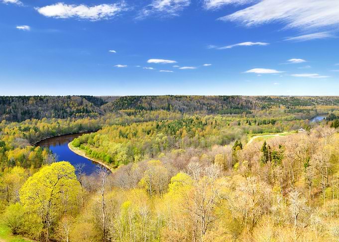 Spring Landscape In Siguld