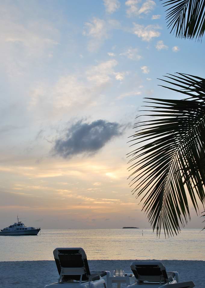 Beautiful Sunset On A Trop