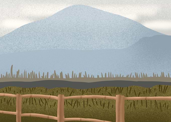 Nature Landscape